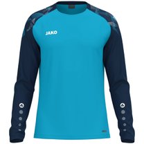 Longsleeve Sonic