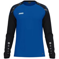 Longsleeve Sonic
