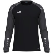 Longsleeve Sonic