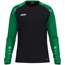 Longsleeve Sonic